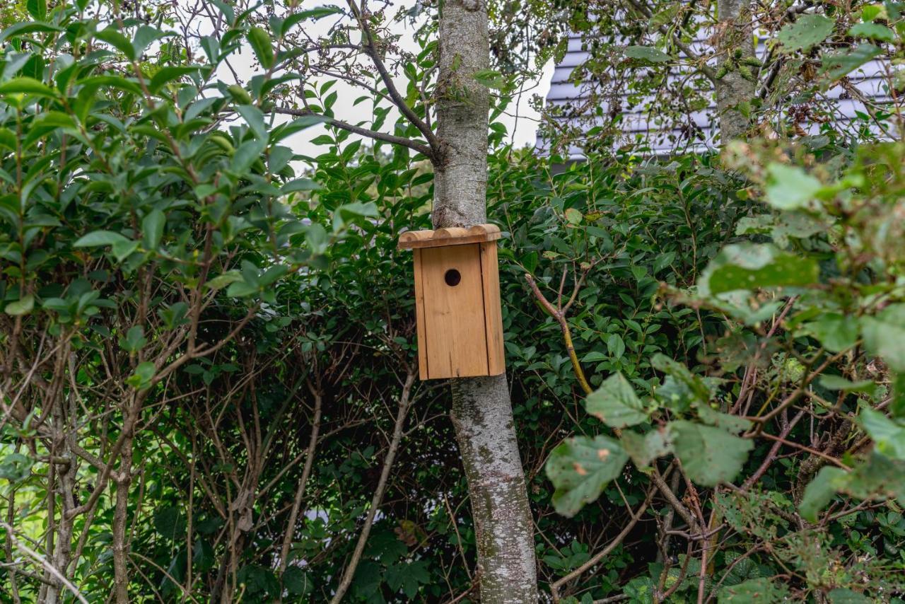 Vakantiewoning De Bleekersvallei De Koog  Buitenkant foto