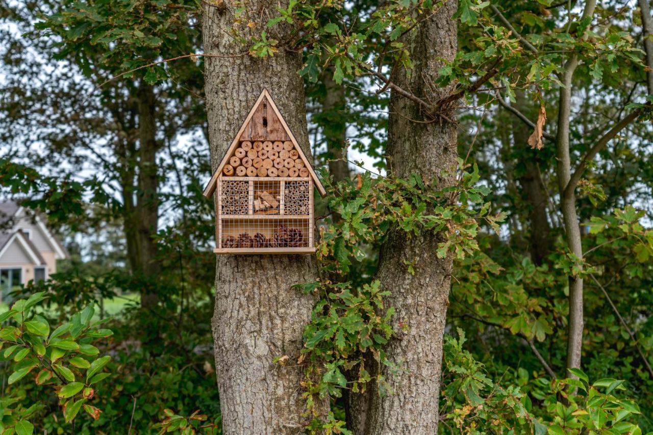 Vakantiewoning De Bleekersvallei De Koog  Buitenkant foto